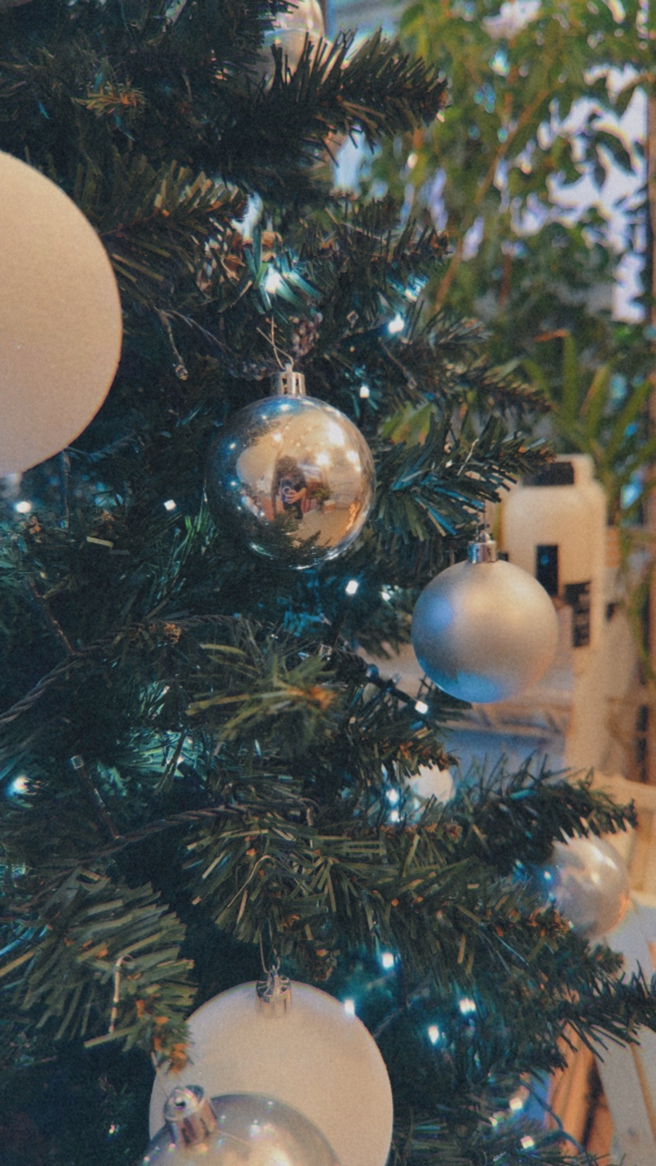 Piccole Coccole (<50€)